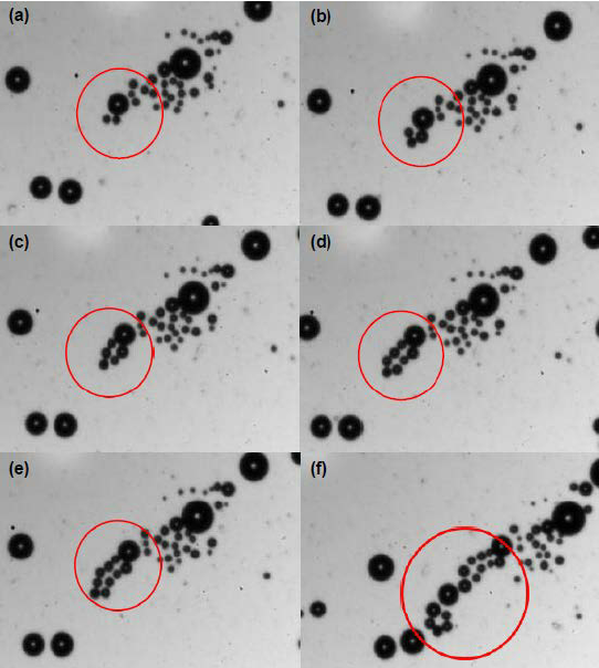 A series of 6 optical microscope frames arranged 2x3 showing the evolution of oxygen bubbles and water after addition of H 2 O 2 (5 Vol. %) to a dilute solution of particles at (a) 1s, (b) 2s, (c) 3s, (d) 4s, (e) 5s, (f). A conglomeration of small black circles on gray backgrounds with red circles indicating where the evolution is happening in the images.