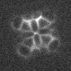 A grainy black and white microscope image of the structure and bonding in a single molecule of cobalt phthalocyanine. A rounded web structure with oval black holes.
