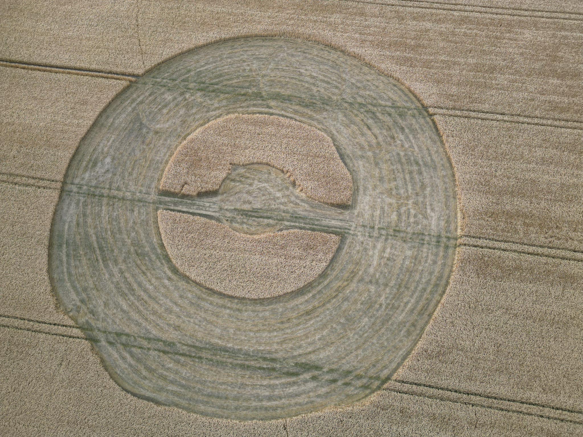 A color photograph taken from an aerial view of a crop circle in the shape of a lumpy wide ring of flattened crop where several rings are visible within the flattened part with a center lumpy circle of upright crop. The circle of upright grass is divided by an off-center horizontal line of flattened crop with a small circle of flattened crop at the center. 3 evenly spaced sets of 2 lines are visible through the crop circle and in the field surrounding the crop circle.