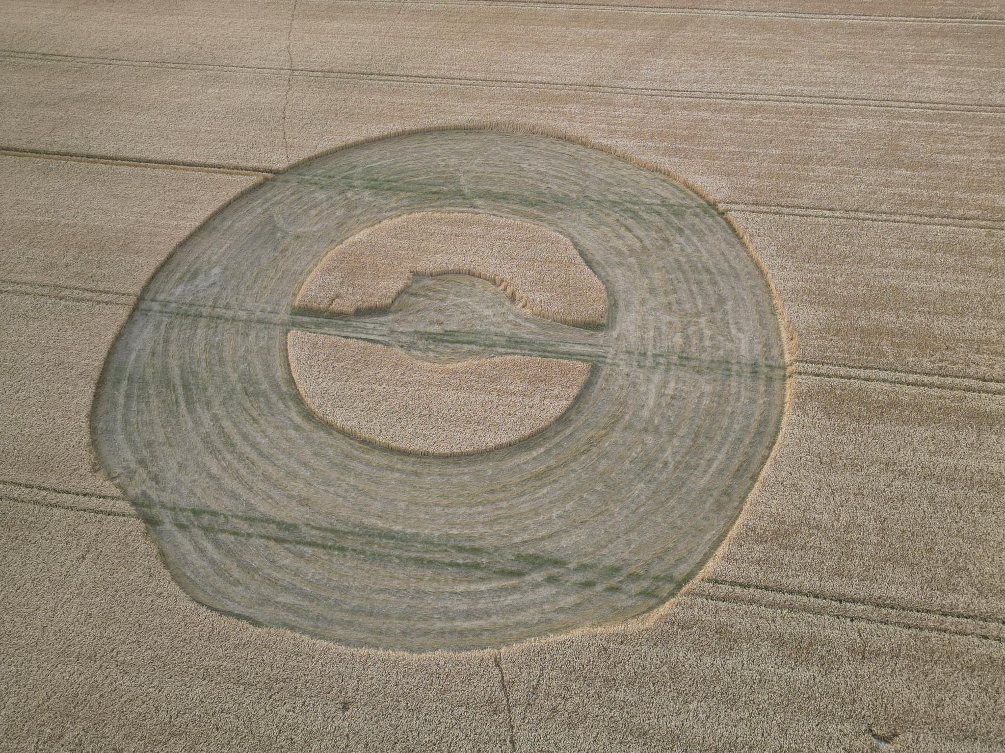 A color photograph almost exactly like the previous photograph taken from an aerial view of a crop circle in the shape of a lumpy wide ring of flattened crop where several rings are visible within the flattened part with a center lumpy circle of upright crop. The circle of upright grass is divided by an off-center horizontal line of flattened crop with a small circle of flattened crop at the center. 3 evenly spaced sets of 2 lines are visible through the crop circle and in the field surrounding the crop circle.