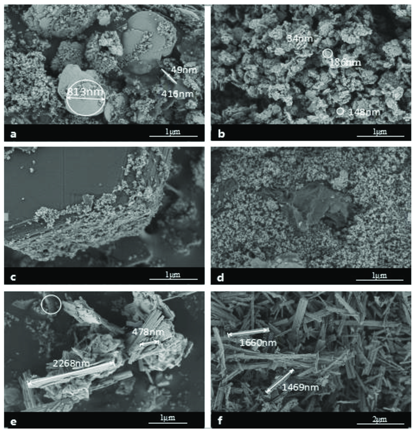 6 microscopic images labeled (A) (B) (C) (D) (E) (F) arranged vertically 2x3 with various number nm measurements visible on each image. The top 2 images show lumpy spherical shapes with tiny clusters of material leaking through the cracks, the middle 2 images depict white clumps of material on a gray terrain, the bottom 2 images depict clusters of long rectangular particles.