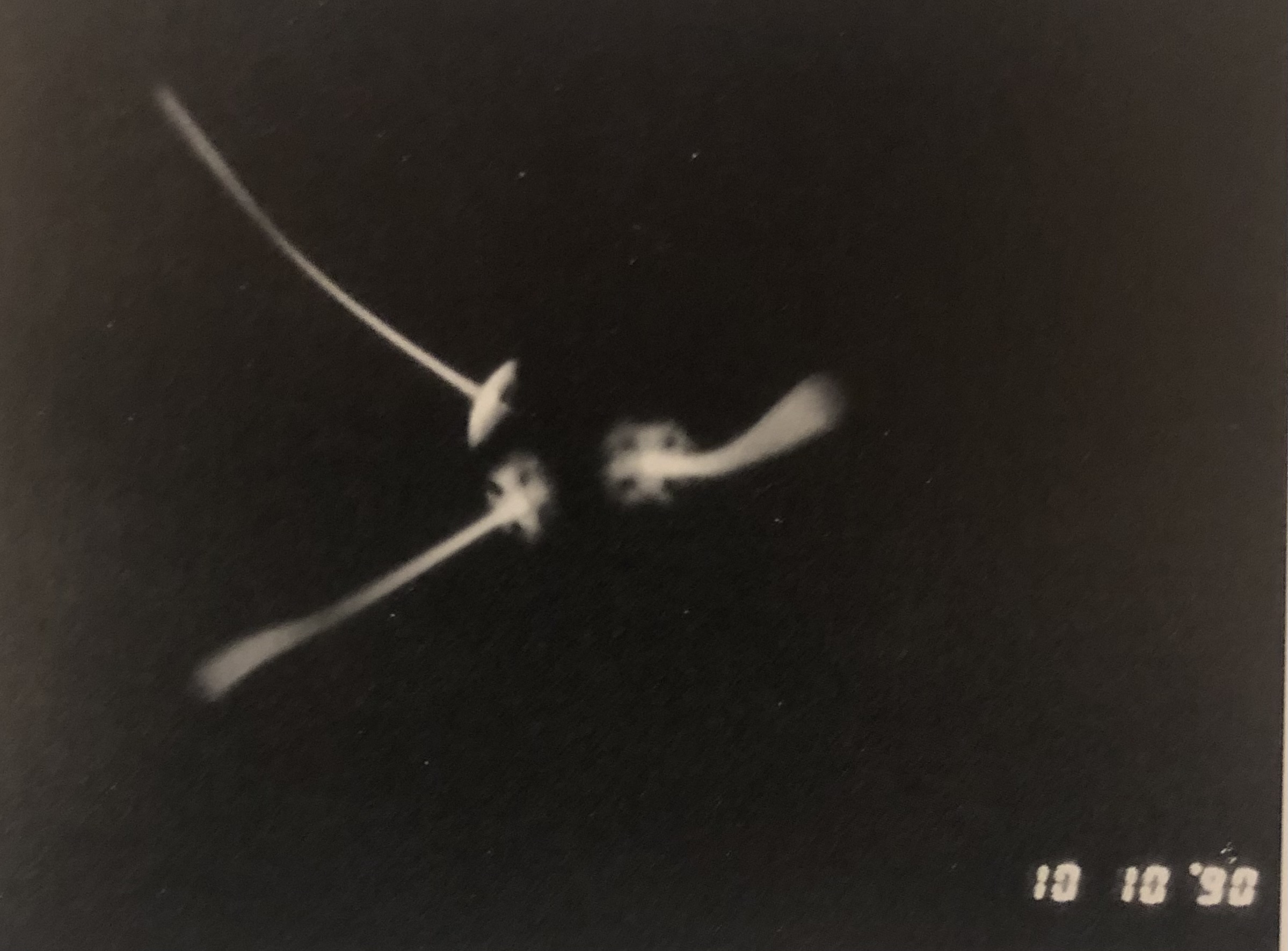 A black and white photograph of what appear to be 3 falling tiny flower and stem shaped objects. The flower ends of the objects are all facing each other with the blurry stems spreading out behind them in a triangular formation. In digital font it says 10.10.90 in the corner.