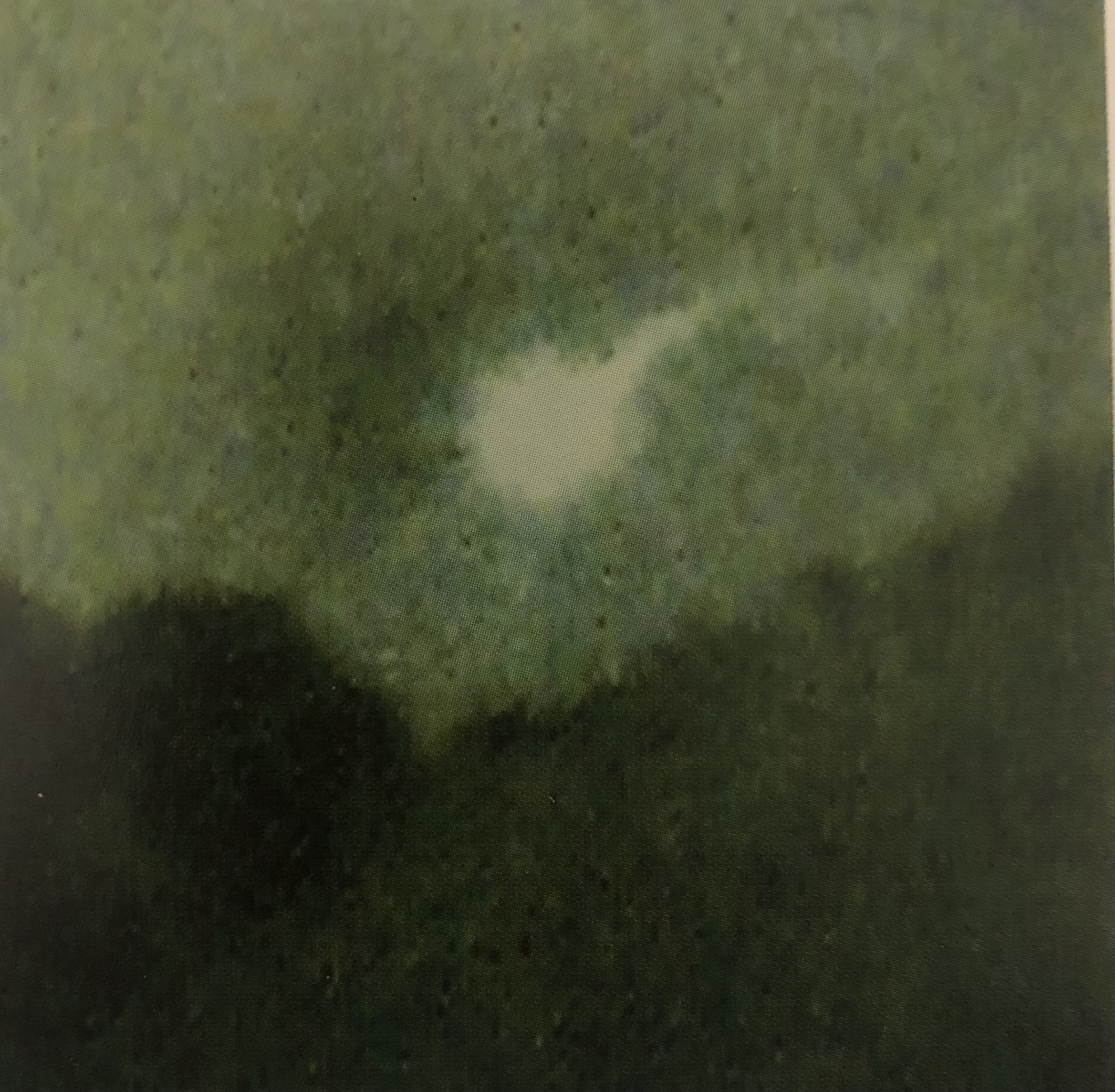 A fuzzy color photograph of a bright circular light with a tail that trails to the right in a dark blue green brown sky above a green black treeline.