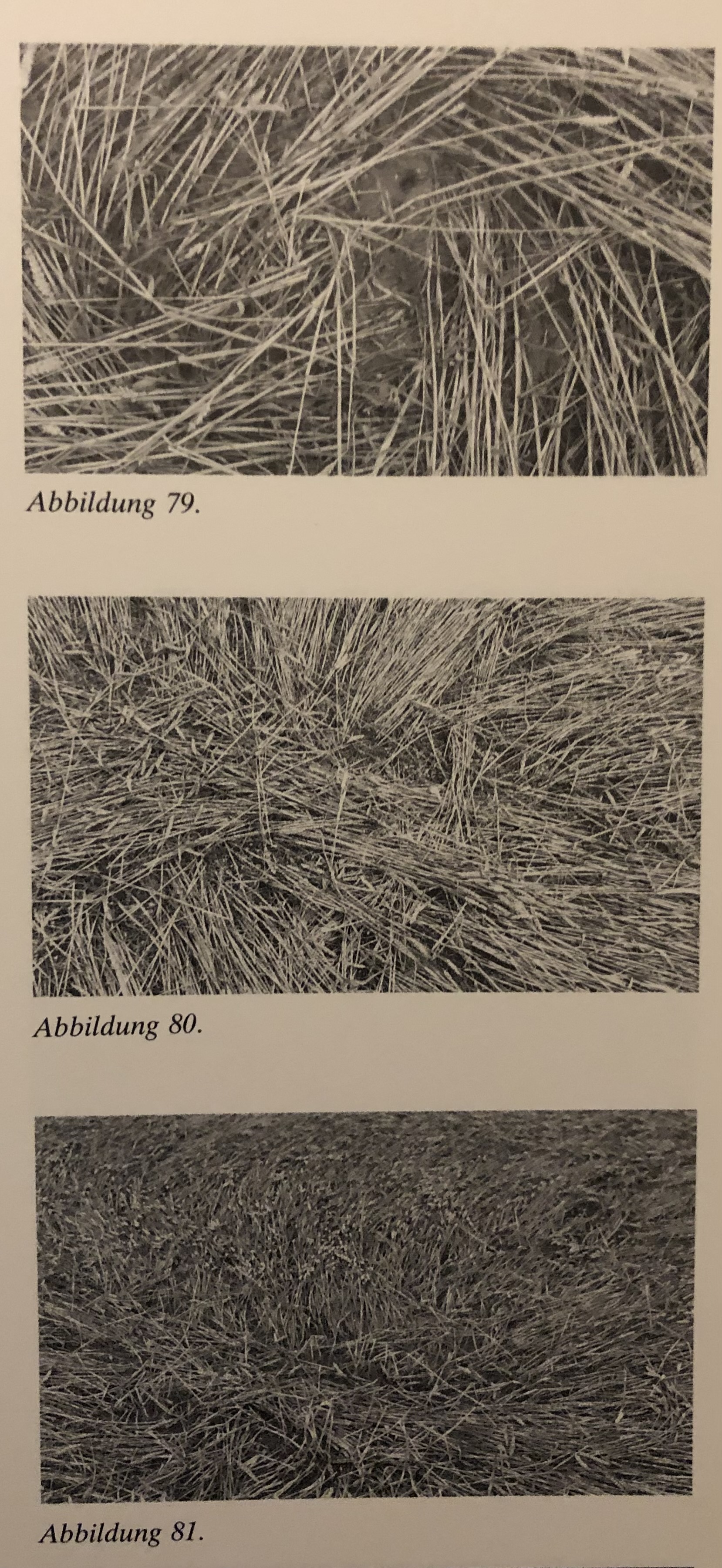 3 sepia photographs aligned vertically on a page labeled 'Abbildung 76.', 'Abbildung 77.', 'Abbildung 78.' depicting a variety of up close aerial shots of wheat flattened in a pattern that swirls out in a circular motion from a center point. 