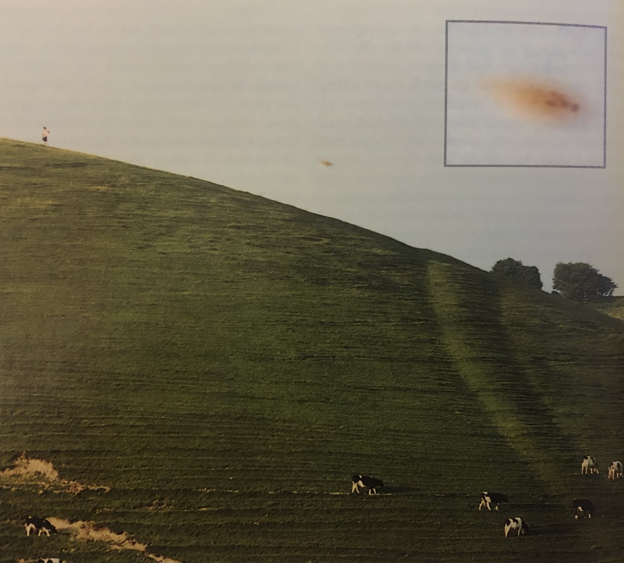 A color photograph where a bright green hill curves diagonally from the top left corner of the frame to the middle right. Cows dot the hill in the bottom right of the frame. In the blue sky taking up the top third of the frame, an orange blurry cloud with a cluster of dark orange spots can be seen framed with a black square to highlight it.