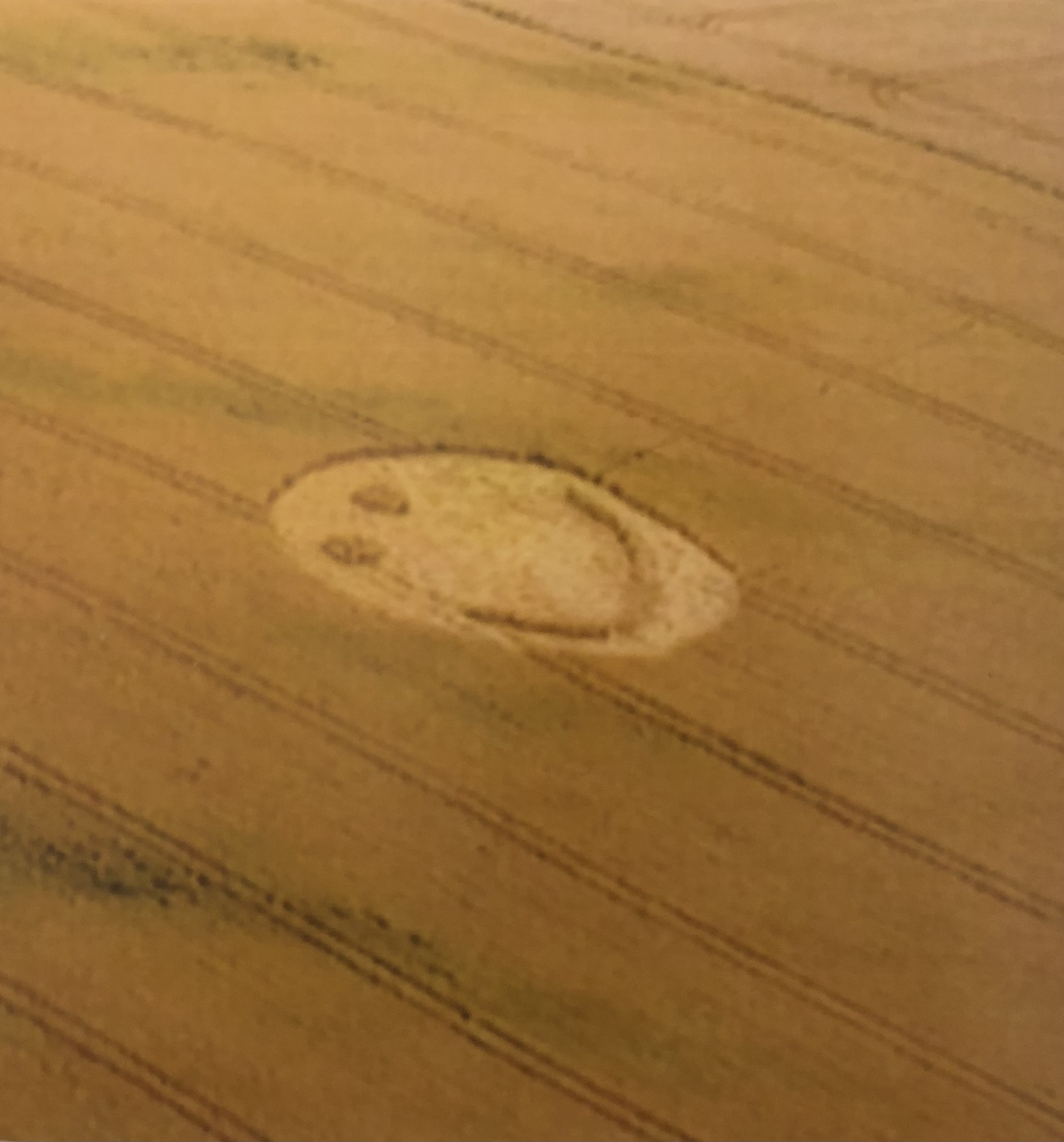 A side-aerial color photograph of a yellow field with diagonal parallel lines imprinted in it that run top left to bottom right in the frame. A crop circle in the shape of a smiley face sits diagonally in the center of the frame.