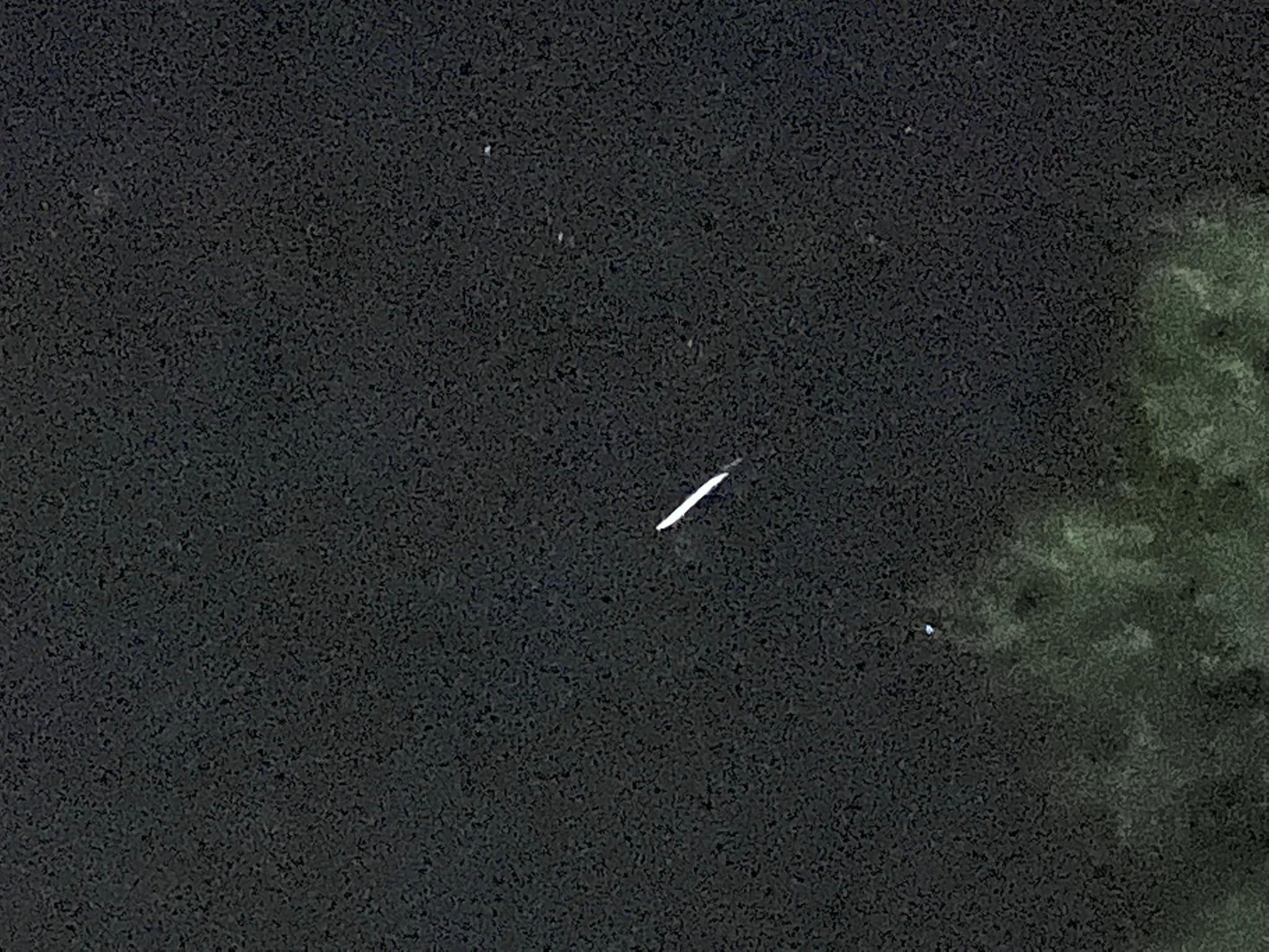 A color photograph of a small bright white streak diagonal against a black sky. Dark green trees reflect the light on the right side of the frame.